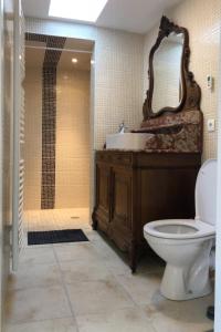 La salle de bains est pourvue de toilettes, d'un lavabo et d'une douche. dans l'établissement Les Plaisirs dIrleau, à Le Vanneau