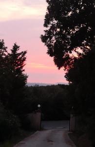 a dirt road with a sunset in the sky at Casa Simonetta in Castellina Marittima