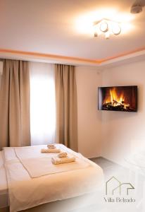 een slaapkamer met een bed en een open haard aan de muur bij Belrado Apartments in Belgrado