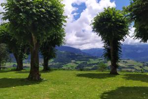 three trees in a field of grass with a view at Chartreuse in Saint-Franc