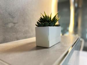 Fotografie z fotogalerie ubytování Hotel Da Toni v destinaci Neuenkirchen