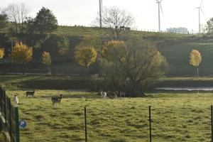 Paesaggio naturale nelle vicinanze of country house