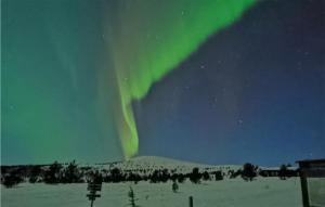 uma aurora no céu sobre um campo coberto de neve em Pet Friendly Apartment In Espedalen With Wifi em Espedalen