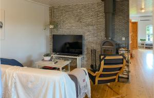 a living room with a fireplace and a tv at Amazing Home In Ydre With Wifi in Idebo