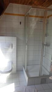 uma casa de banho com um chuveiro e um WC. em Hotel Restaurant - Häuserl im Wald Graz em Graz