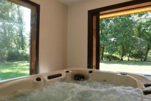 a bath tub filled with water in front of a window at Gite en forêt landaise avec jacuzzi d'intérieur in Pissos +8 photos