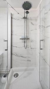 uma casa de banho com um chuveiro e uma porta de vidro em Studio cosy élégant em Villeurbanne