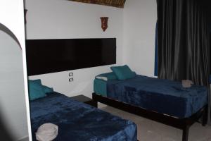 Voodi või voodid majutusasutuse Ajwa Guest House toas