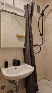 a bathroom with a sink and a shower at Gemütliche Apartment, Stadtmitte, Netflix, wifi in Hannover