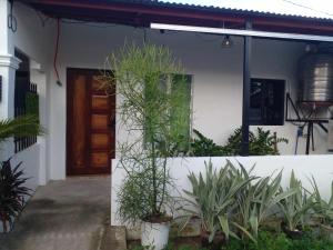 a house with plants in front of a door at 2 Bedroom, 1 Bathroom Home with street parking in Sibulan