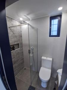 uma casa de banho com um WC e uma cabina de duche em vidro. em Oros Eros 2 em Hidra