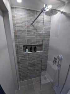uma casa de banho com um chuveiro e uma porta de vidro em Oros Eros 2 em Hidra
