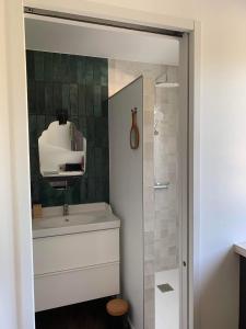 La salle de bains est pourvue d'un lavabo et d'une douche. dans l'établissement Appartement 40m2 vue sur mer accès direct plage et parking privé, à Dinard