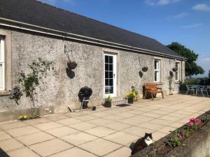 a cat sitting in front of a stone house at Ballyconnelly Cottages, Galgorm area in Cullybackey