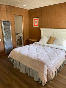 a bedroom with a large bed and a sink at Mountain View Cabins in Wrightwood