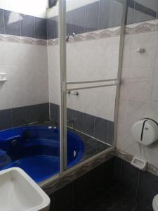 Kupatilo u objektu Hotel Torreon De Rionegro