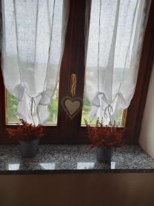 two plants sitting on a window sill with curtains at Maison Diletta in Castelletto sopra Ticino