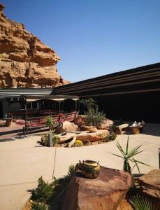 un edificio con un montón de plantas y rocas en Desert stars en Wadi Rum