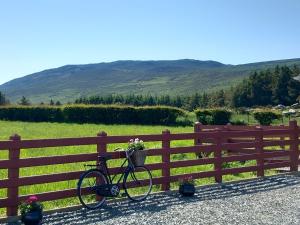a bike parked against a fence with flowers in a basket at Havana Holiday Cottage Inishowen 