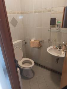 Goli BregにあるVilla Zoraのバスルーム(トイレ、洗面台付)