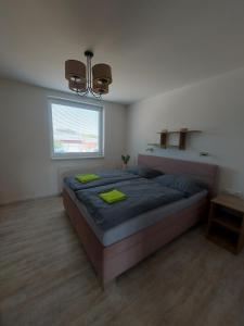 ein Schlafzimmer mit einem großen Bett und einem Fenster in der Unterkunft Apartmán Rudoltice 
