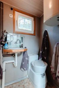 a small bathroom with a toilet and a sink at Tinyhouse auf dem Sonnenhang in Osterode