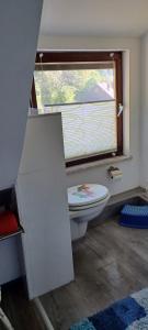 a bathroom with a toilet and a window at Haus auf den oberen Hexenstieg in Osterode