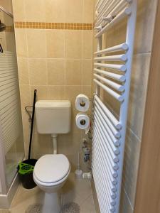 a small bathroom with a toilet and a shower at Danka Szálláshely in Debrecen