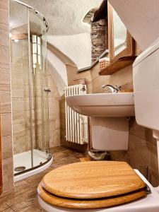 a bathroom with a toilet and a sink and a shower at B&B Terra di confine in Venalzio