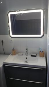 une salle de bains avec un lavabo et un miroir dans l'établissement Au jardin de la seiche, à Noyal-Châtillon-sur-Seich 7 autres photos