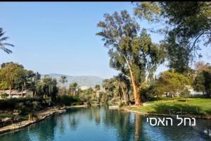 un río con árboles a su lado en יחידת אירוח קסומה למרגלות הגלבוע, en Sede Terumot