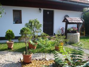 un jardín con macetas frente a una casa en Podhajska ubytovanie - D&B Konecna, en Trávnica