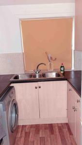 a kitchen with a sink and a dishwasher at Cosy flat close to city centre. in Nether Edge