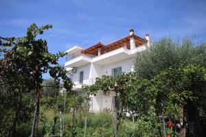 a white house on a hill with trees at Mato Rooms in Himare