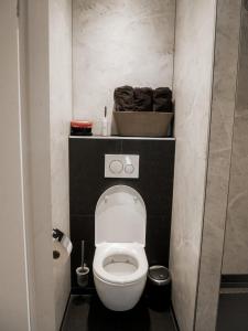 een kleine badkamer met een wit toilet in een kamer bij BenB Weerribben Wieden in Wanneperveen