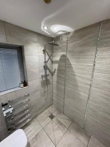 a bathroom with a shower and a toilet at Riverside 2 Bedroom Townhouse with Car Charger in Abergavenny