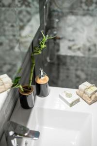 un bancone del bagno con una pianta e un lavandino di City Loft 2 (Stamatina's Luxury Apartments) a Alexandroupoli