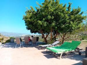 een patio met ligstoelen en een boom bij Casa Montaña Vélez-Málaga B&B in Vélez-Málaga