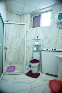 a white bathroom with a shower and a toilet at Lomes cozy home in Dar es Salaam