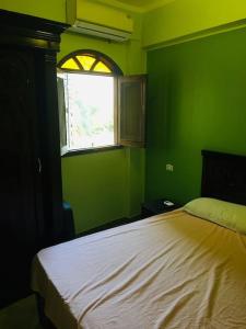 a bedroom with green walls and a bed with a window at Tibs mountain view in Al Aqālitah