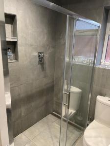 a shower stall with a toilet in a bathroom at Skylight Deluxe Apartment with free parking, close to Windsor, Legoland and Heathrow in Farnham Royal