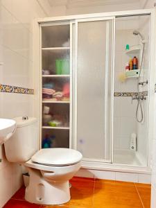 a bathroom with a toilet and a shower at Apartamento Salo in Candelaria
