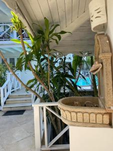 a plant in a basket on a porch with stairs at ITAKA LOMA BONITA in Las Terrenas