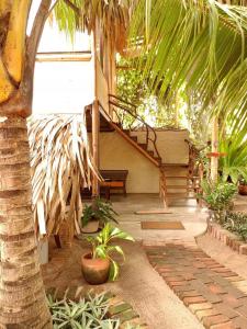a house with a palm tree and a staircase at Monsoon Eco Resort - Whisky point Arugambay in Pottuvil