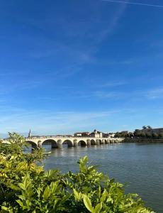 un puente sobre un río con un cielo azul en Le Lamartine - vue Saône - Baignoire îlot en Mâcon