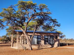 een klein huisje met een boom ervoor bij Jansen Kalahari Guest Farm in Hoachanas