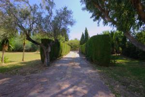 Ein Garten an der Unterkunft Holiday Home La Cartuja