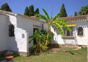 una casa bianca con una palma nel cortile di Holiday Home La Cartuja a Jávea