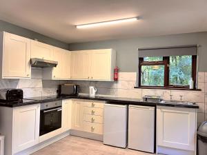 a kitchen with white appliances and a window at PrancingHare Lodge-Woodland Lodges-Pembrokshire in Carmarthen +6 photos