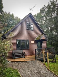 a log cabin with a bench on a deck at PrancingHare Lodge-Woodland Lodges-Pembrokshire in Carmarthen